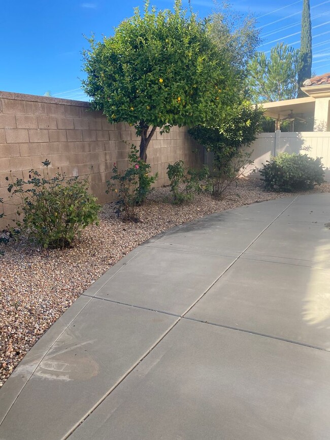 Building Photo - Sweet Senior Rental in Solera