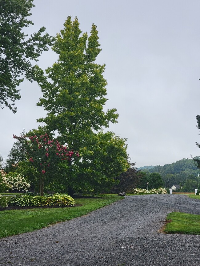 Building Photo - 33 Rittenhouse Rd