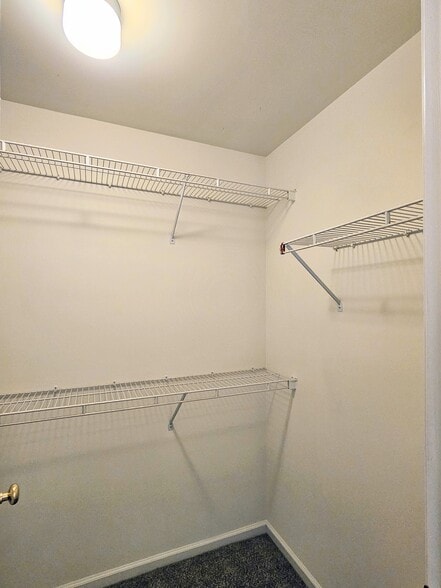 Building Photo - 40 Sandstone Ct