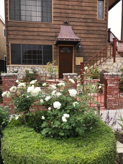 Primary Photo - 2501 Ocean Ave