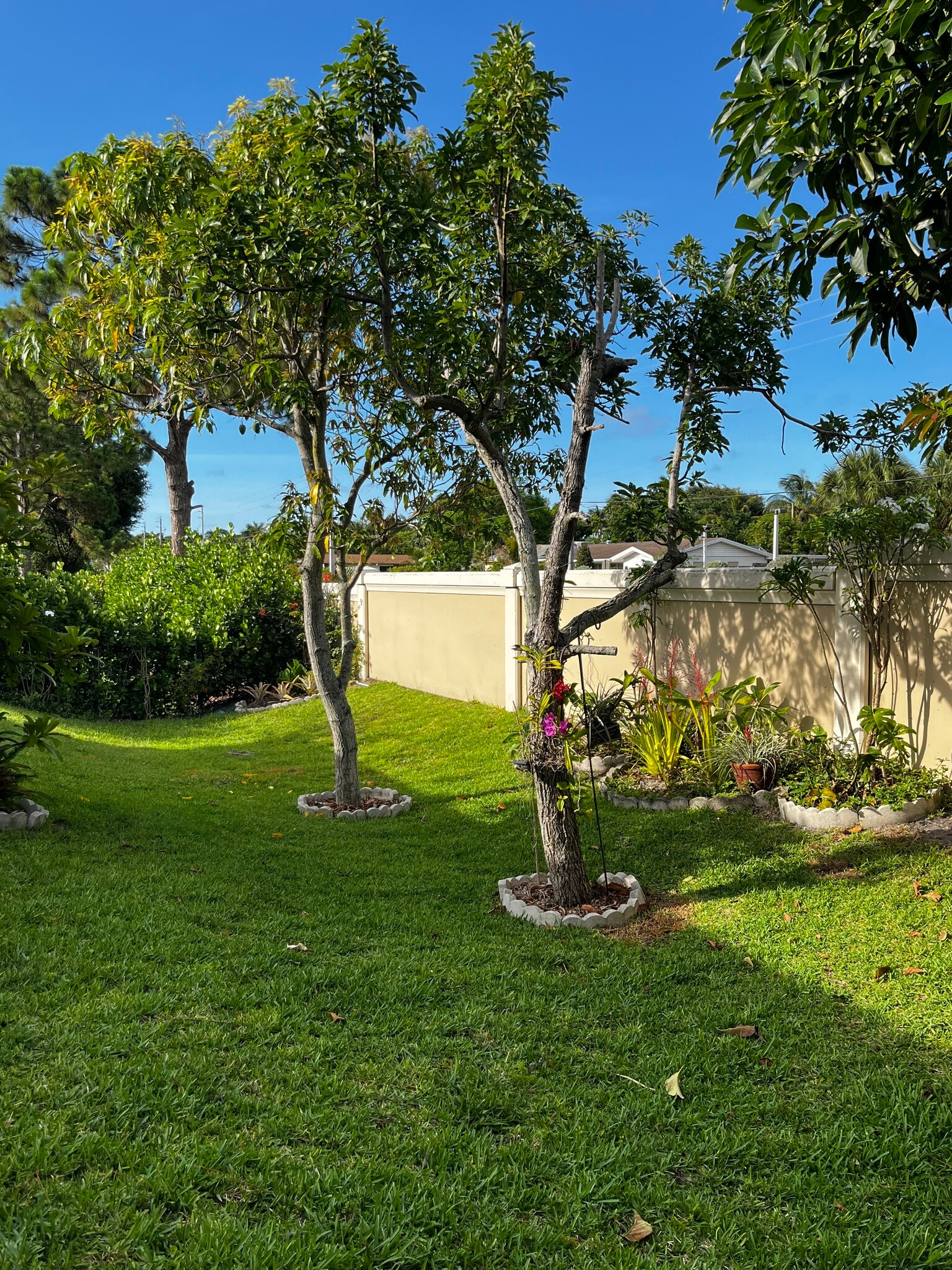Large Backyard - 38 Lake Eden Dr