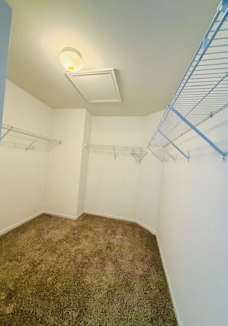 Building Photo - 2331 Wilson Creek Cir