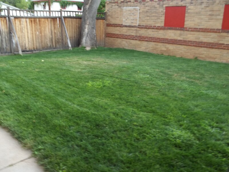 Building Photo - 900 S Pennsylvania St