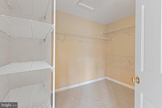 Building Photo - 22047 Chelsy Paige Square