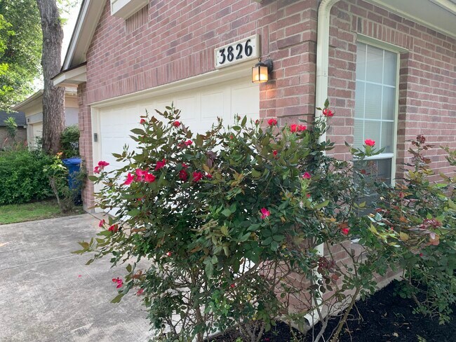 Front Entry - 3826 Tavern Oaks