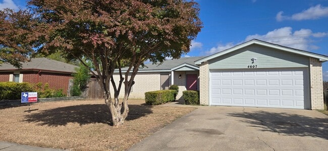 Building Photo - 4607 Mustang Dr