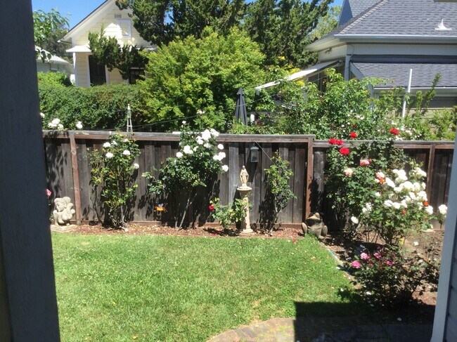 garden - 11 Marin St
