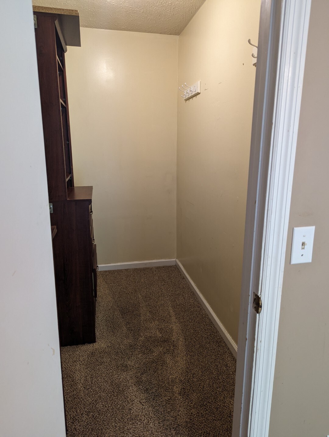 Walk-in closet with organizer in primary bedroom - 110 W White Hawthorne Dr