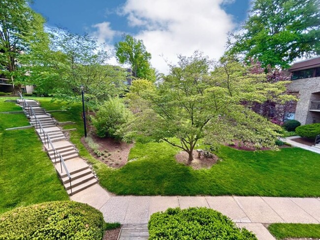 Building Photo - Welcome to your hidden Oasis!