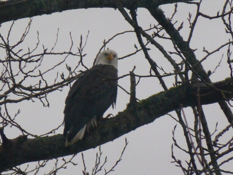 Building Photo - 1611 Vernon Rd
