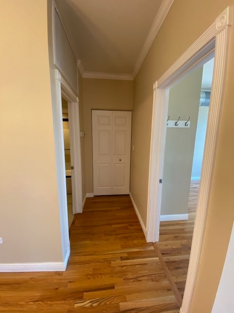 hallway - 1151 W 15th St