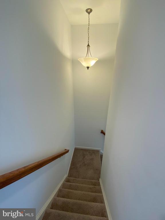 Building Photo - 107 Argyle Ct