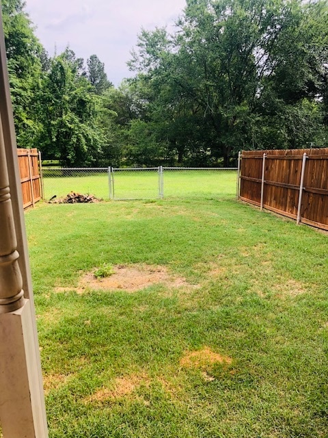 back yard - 1630 Samples Rd