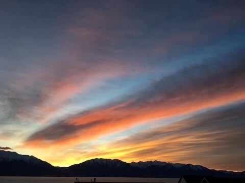 Building Photo - 3558 Sharp Shinned Trail