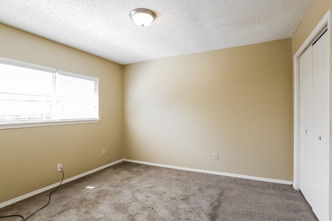 Building Photo - 3719 Lemon Tree Ln