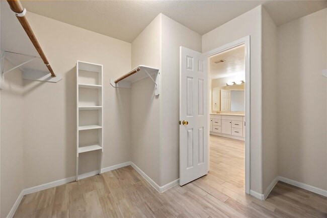 Building Photo - 29319 Alba Rose Dr