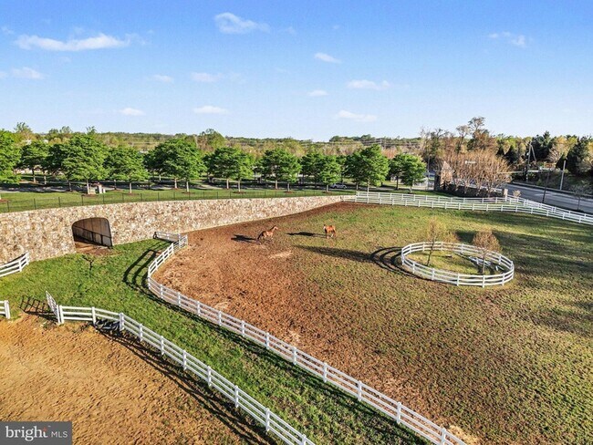 Building Photo - 10878 Foxtrot Cir