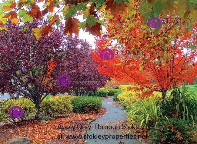 Building Photo - 1200 Singingwood Ct