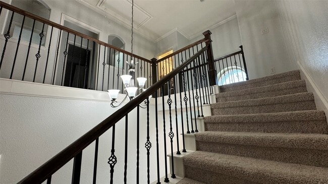 Building Photo - 27 Jonquil Pl