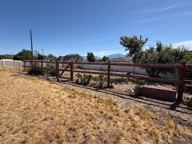 Building Photo - GORGEOUS SPACOUS HOMESTEAD!!!