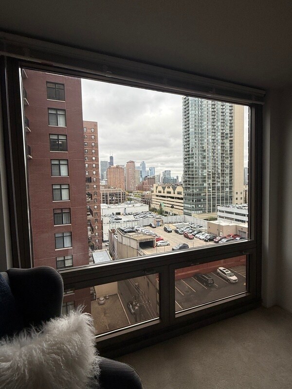 Building Photo - 1125 N Dearborn St