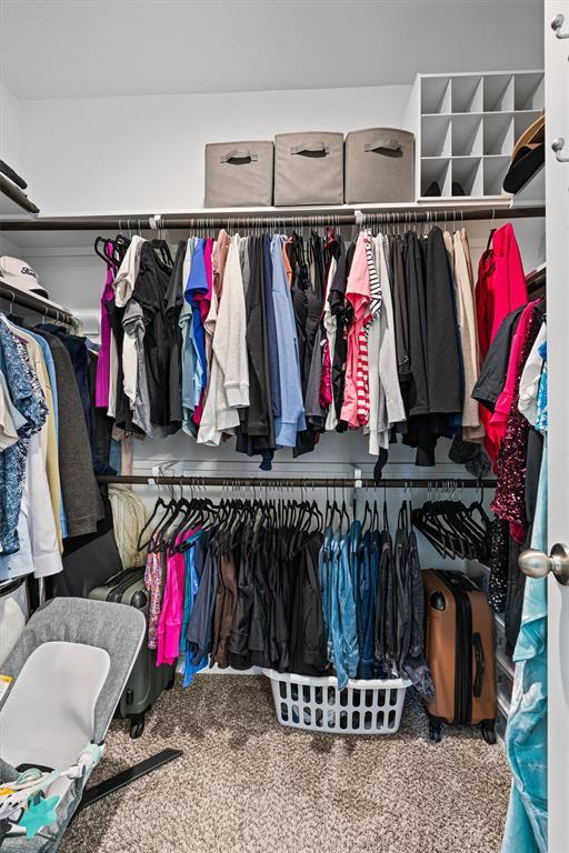 Building Photo - 137 Red Sun Dr