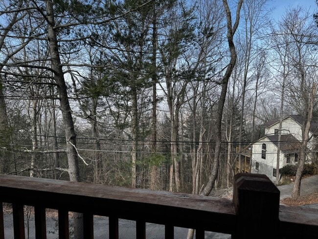 Building Photo - Central AVL Condo - Huge Deck, Views and Community Pool