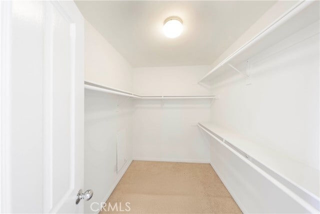 Building Photo - 53 Bower Tree