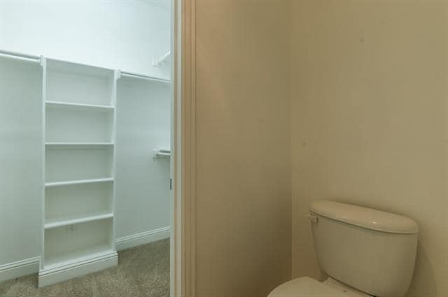 Building Photo - 732 Skyline Bluff Ct