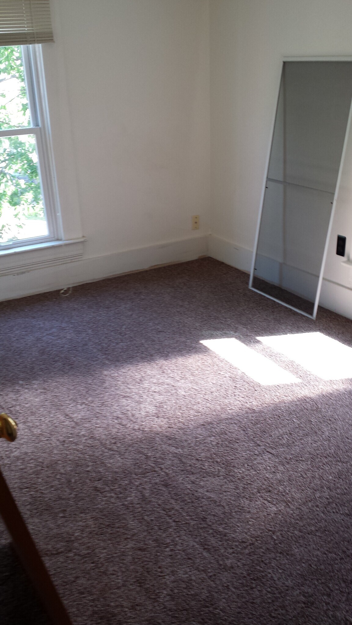 Building Photo - 906 Vine St