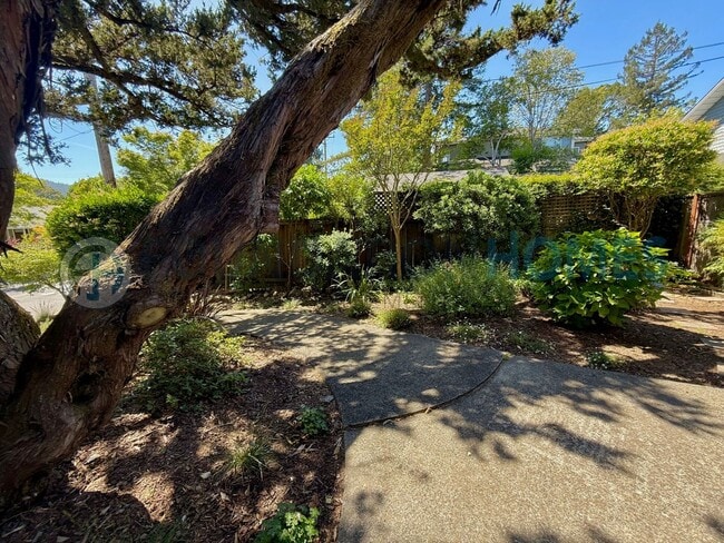 Building Photo - Charming 3BD/2BA Kentfield Retreat with Pool!  Bocce Court!  Private Yard!  FOUNDATION