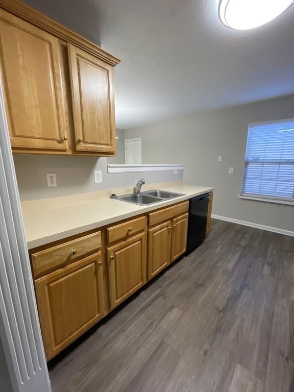 Building Photo - 3013 Northern Falcon Ridge Dr