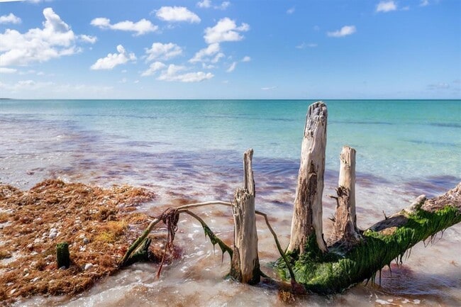 Building Photo - 9498 Alborado Rd