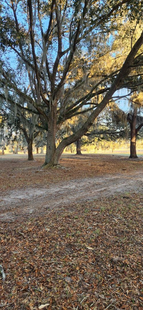 Building Photo - Beautifully updated 3-bedroom, 2.5-bath home in a picturesque country setting