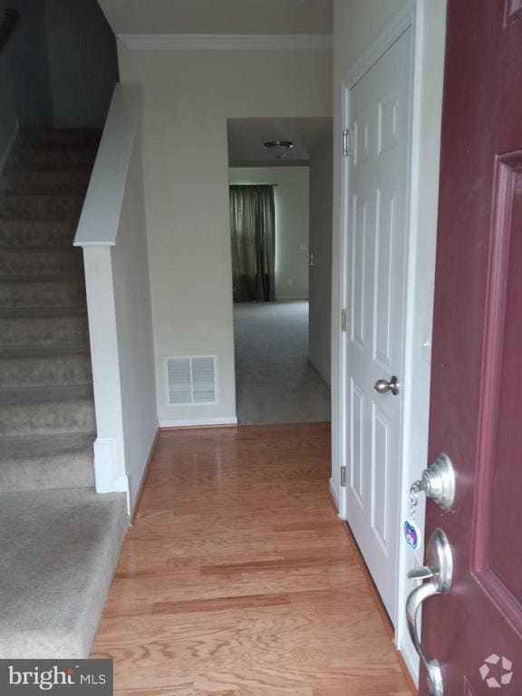 Building Photo - 249 Schramm Lp