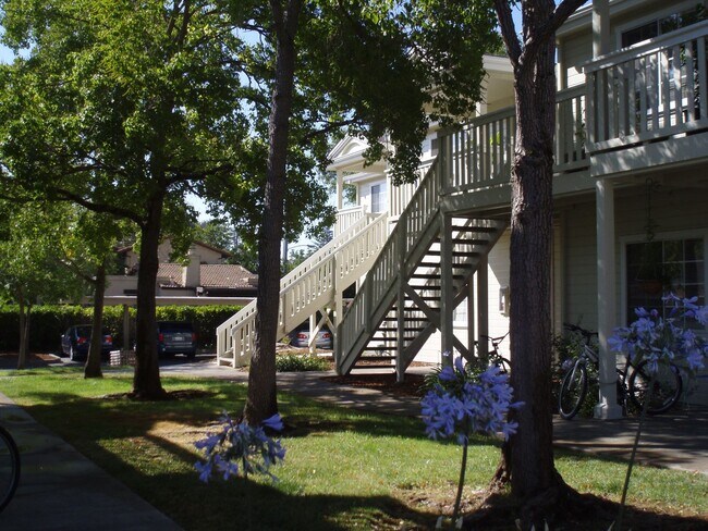 Building Photo - 208 Tuscany Pl