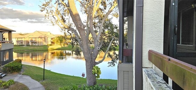 Building Photo - 10263 Gandy Blvd N