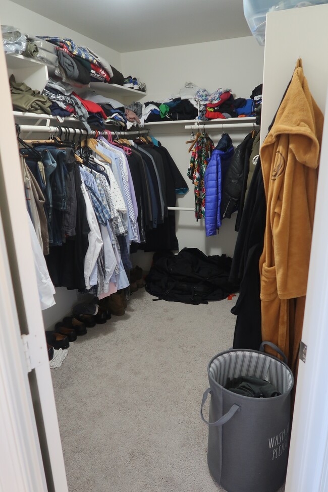 Building Photo - 4501 Deane Ct