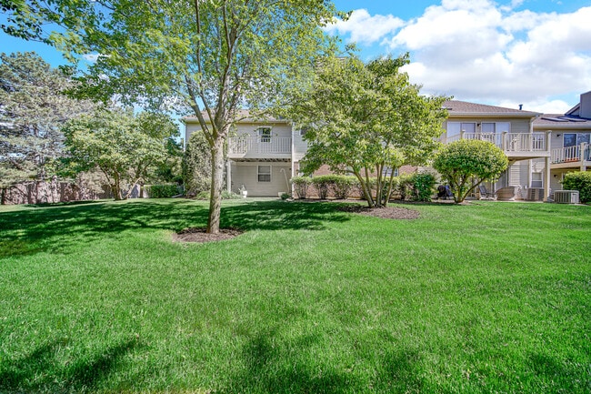 Building Photo - 2403 Mallow Ct