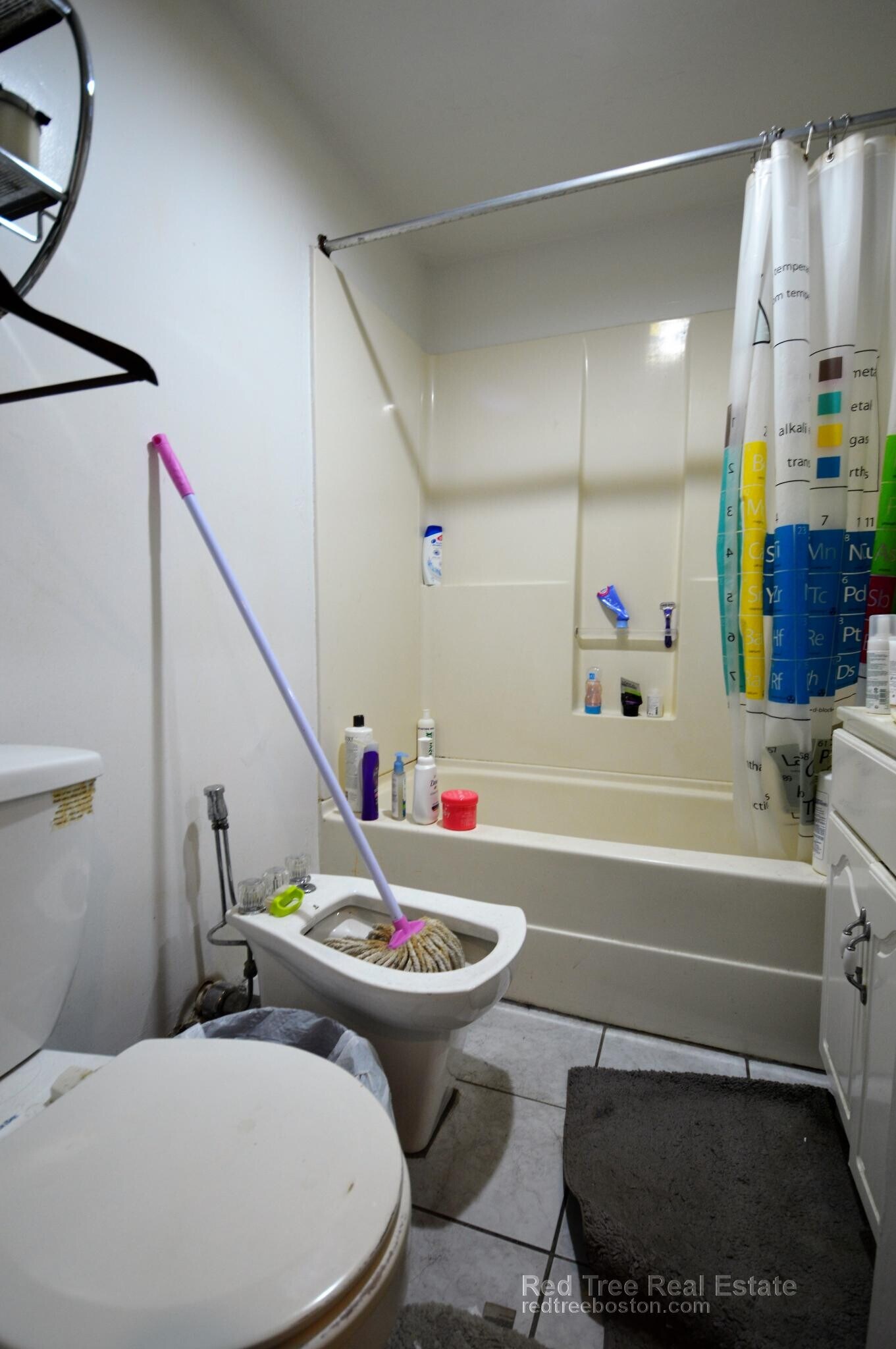 Building Photo - 56 Egmont St