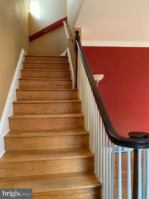 Building Photo - 4718 Ruatan St