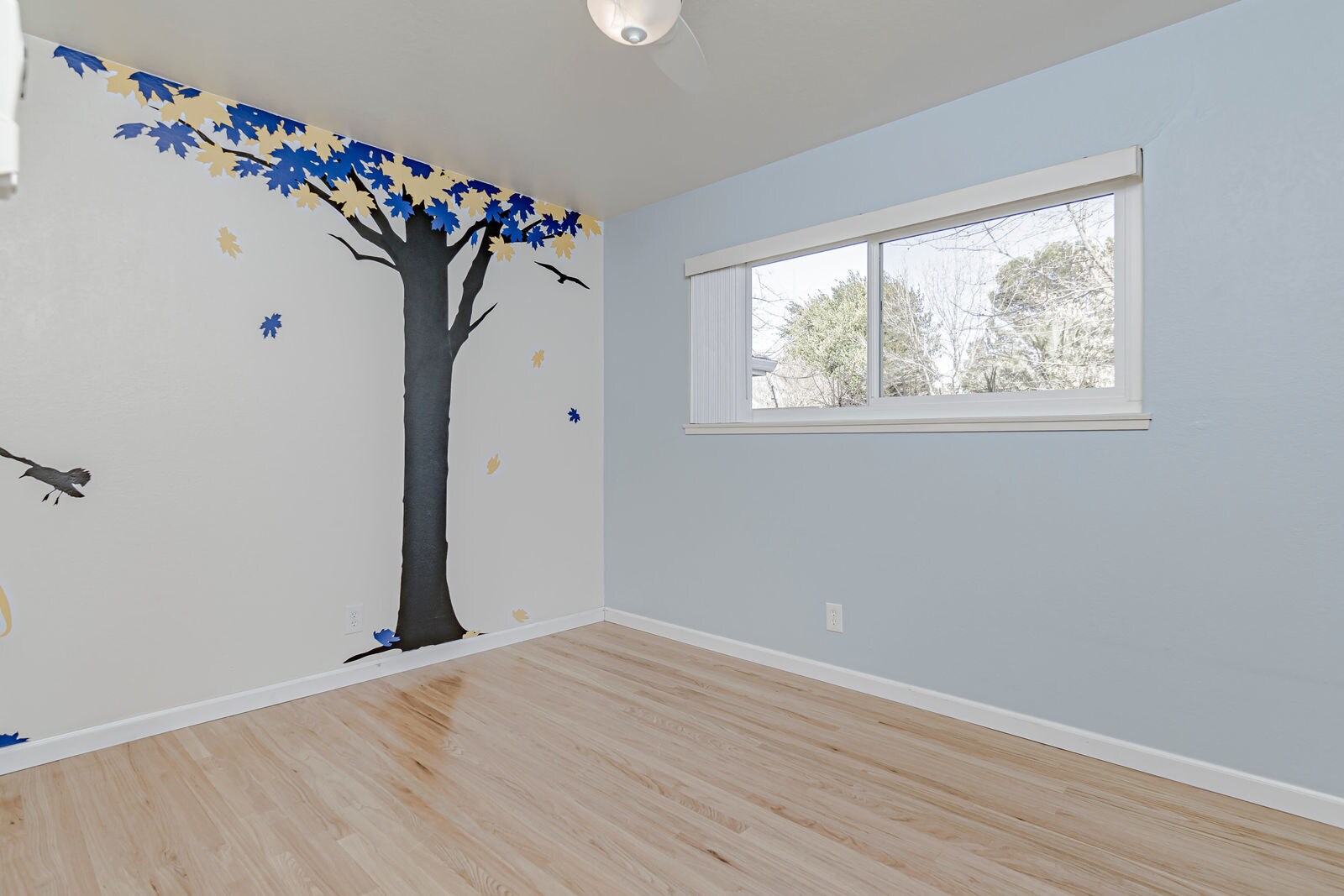 Building Photo - 1108 Alice St