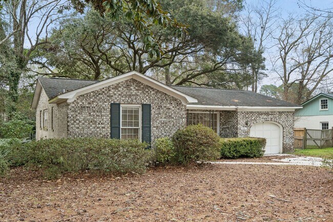 Building Photo - 3BR/2BA Home with Fireplace and Fenced Yard in Mt Pleasant