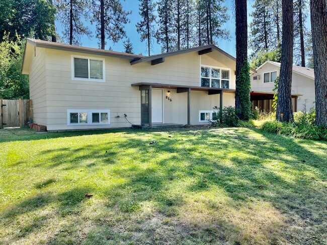 Primary Photo - New on the Market!