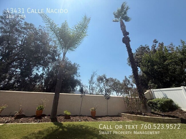 Building Photo - 43431 Calle Nacido
