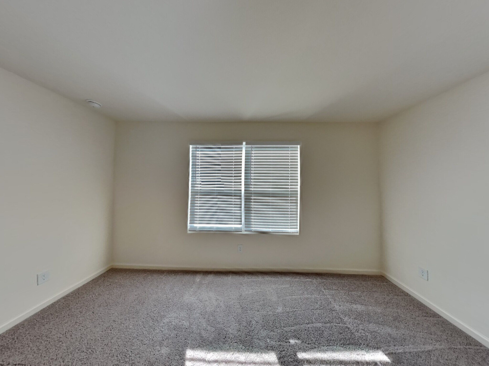 Building Photo - 126 Saginaw Ct