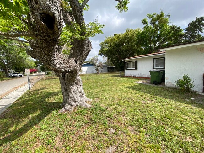 Side Yard/street side - 133 Clark St