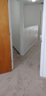 Brand new wall to wall carpet - 2020 Elmhurst Ln