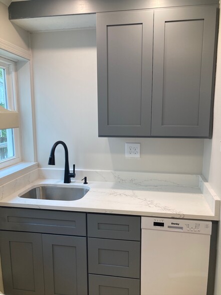 Sunny sink/dishwasher area - 227 E Hector St