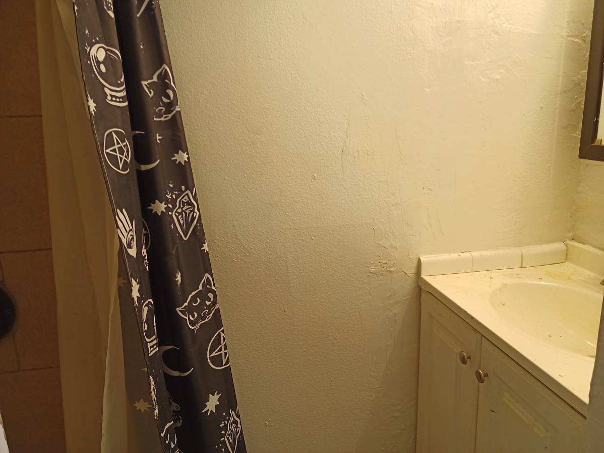 Building Photo - 2209 Cedro Ct